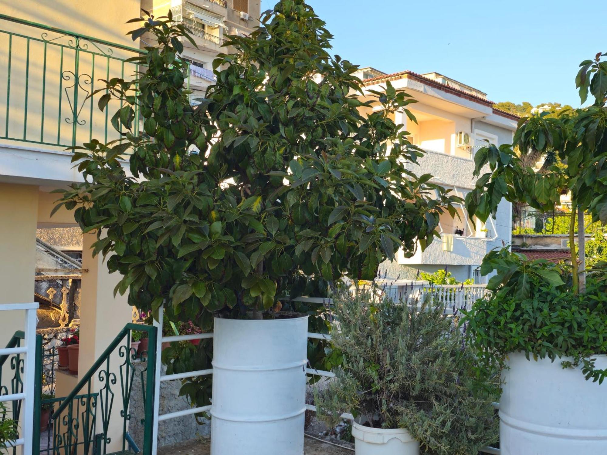 Joen Apartments Saranda Dış mekan fotoğraf